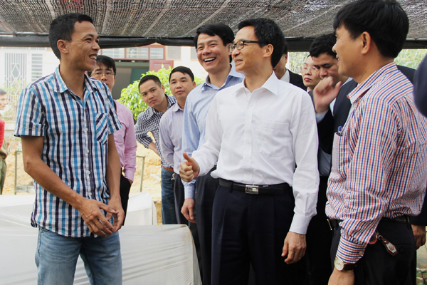 CÔNG TY CỔ PHẦN NÔNG DƯỢC TAM ĐẢO